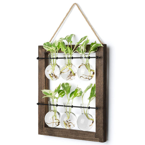 Mkono propagation station wall hanging glass planter with double-layer glass bulbs for root observation.