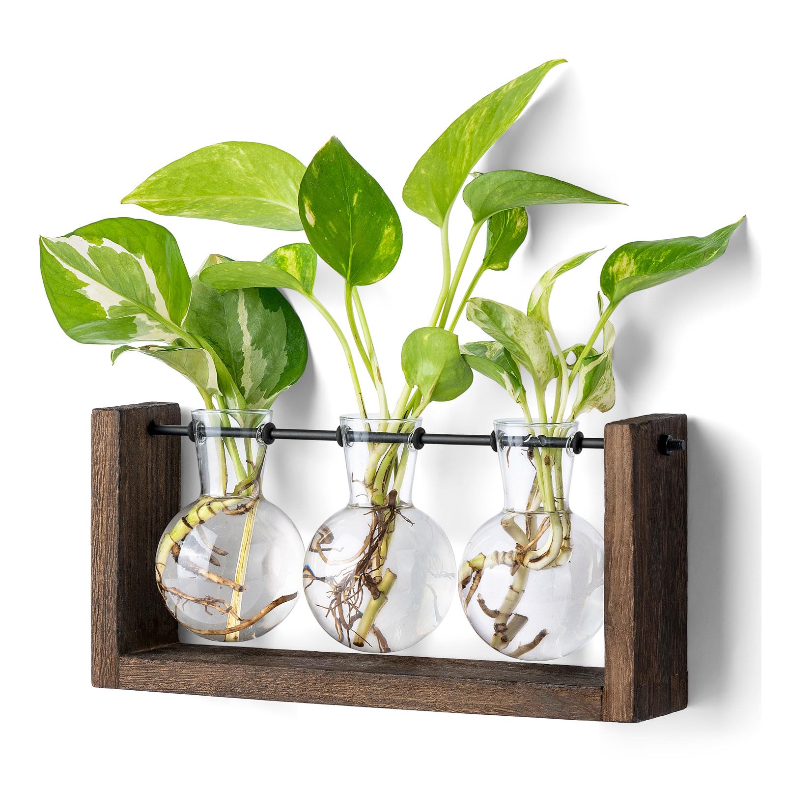 Mkono propagation station with wooden stand and three bulb vases for stylish plant cuttings