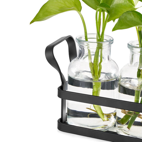 Mkono propagation kit includes stand, jars, and brush for quick setup.
