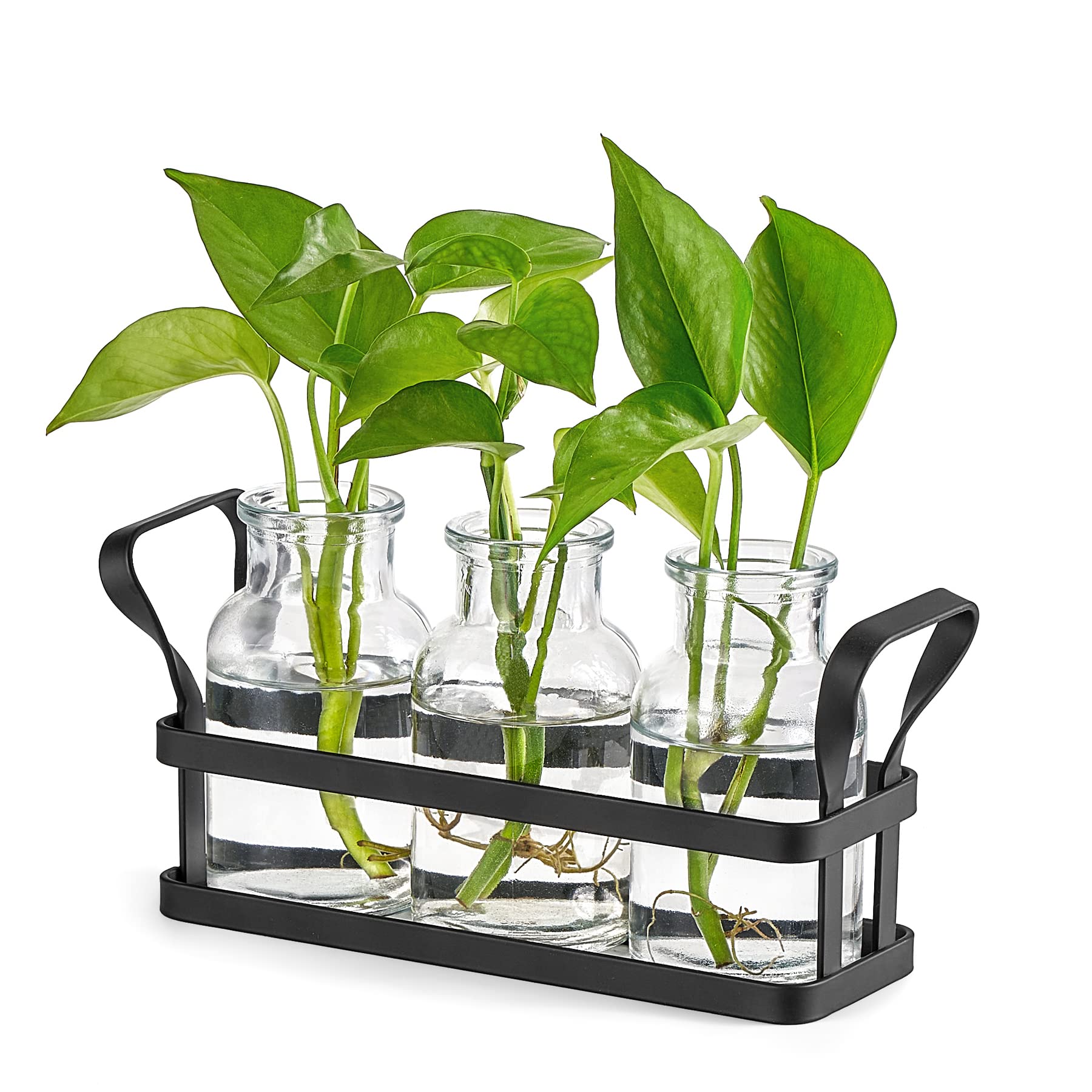 Mkono propagation stations with metal stand showcase three glass bottles for easy plant propagation.