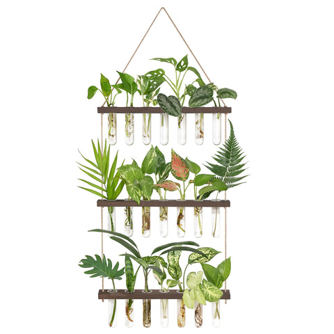 Mkono 3-tier propagation tubes on a wooden stand showing clear roots for easy observation.
