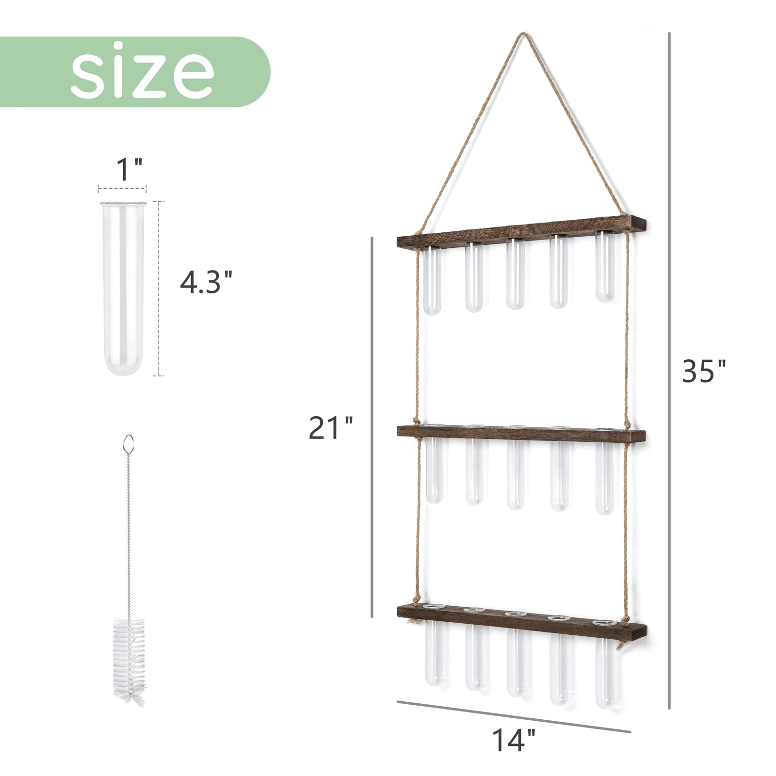 Great for propagating pothos, herbs, and small cuttings.