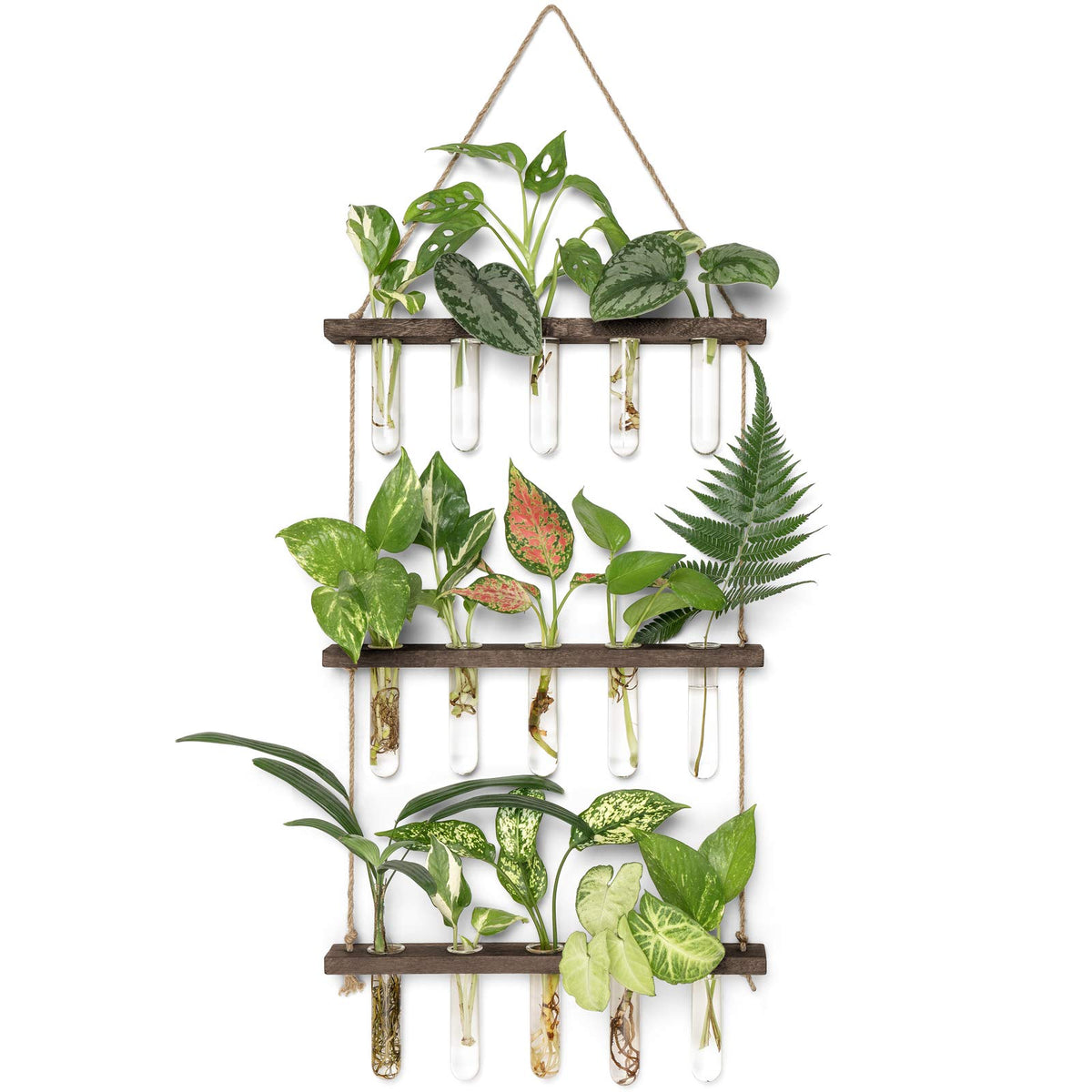 Mkono three-tier propagation tubes with wooden stand for stylish window display.