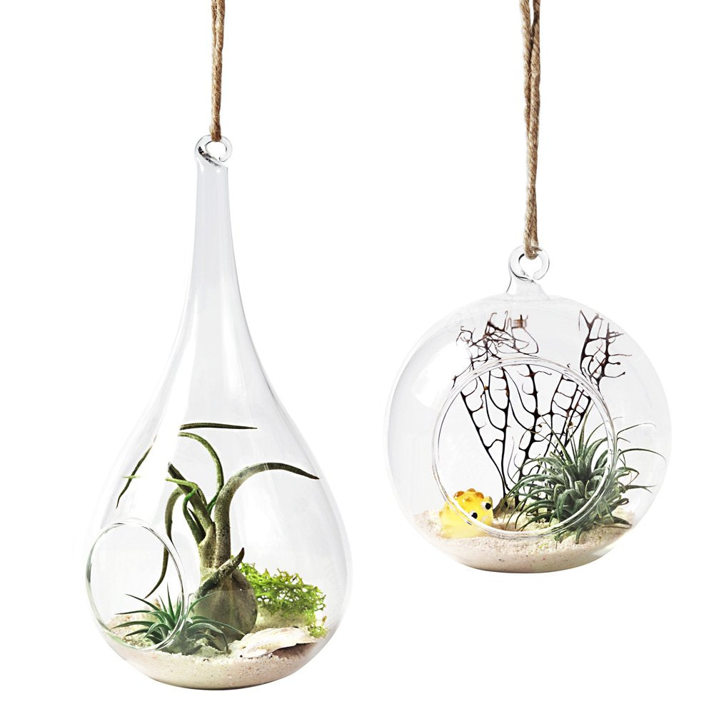 Mkono teardrop terrarium hanging display for air plants and moss