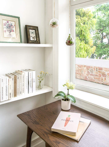 Mkono teardrop terrarium on flat bottom ideal for tabletop greenery