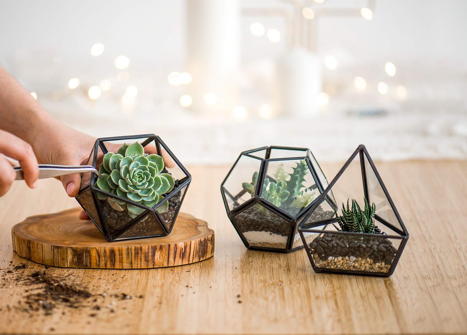 Mkono glass bowl terrarium 4in is ideal as a desk centerpiece with tiny plants.