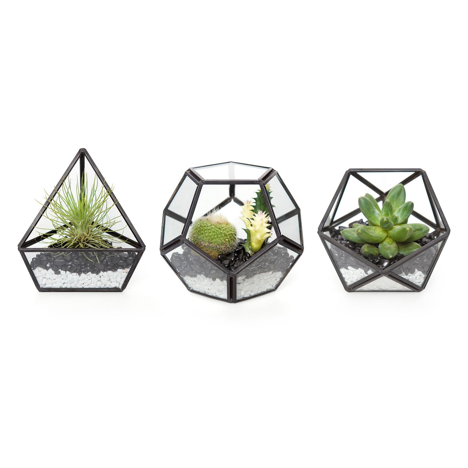 Mkono glass terrarium globe 4in displays small succulents and modern decor.