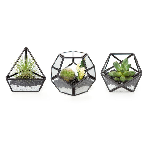 Mkono glass terrarium globe 4in displays small succulents and modern decor.