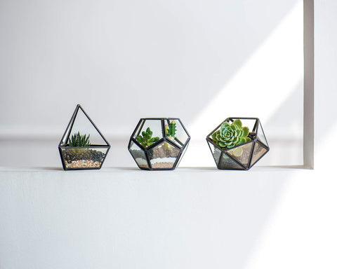 Mkono glass terrarium triangle teardrop 4in for fairy gardens and air plants.
