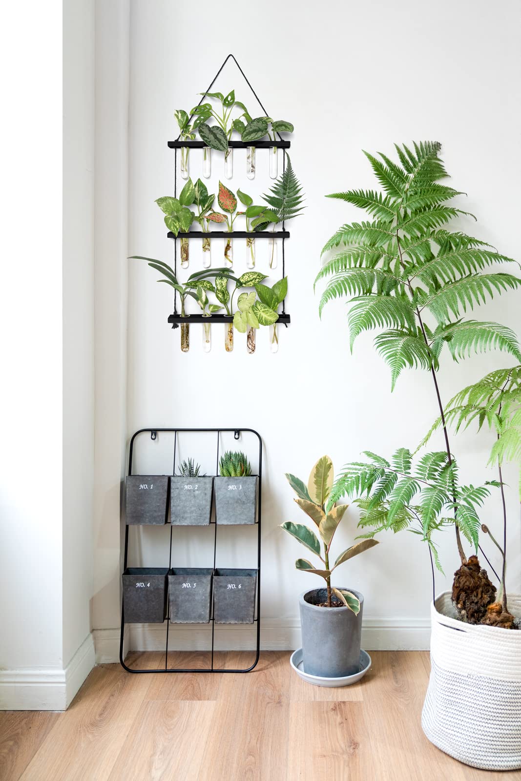 Mkono test tube planter close-up highlights minimalist design for cuttings.