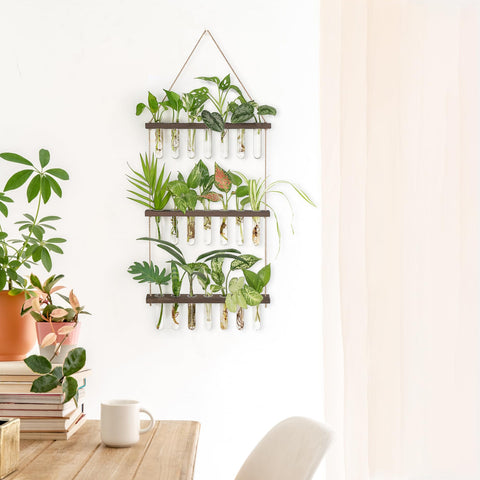 Mkono 21-test-tube set arranged for compact propagation display.