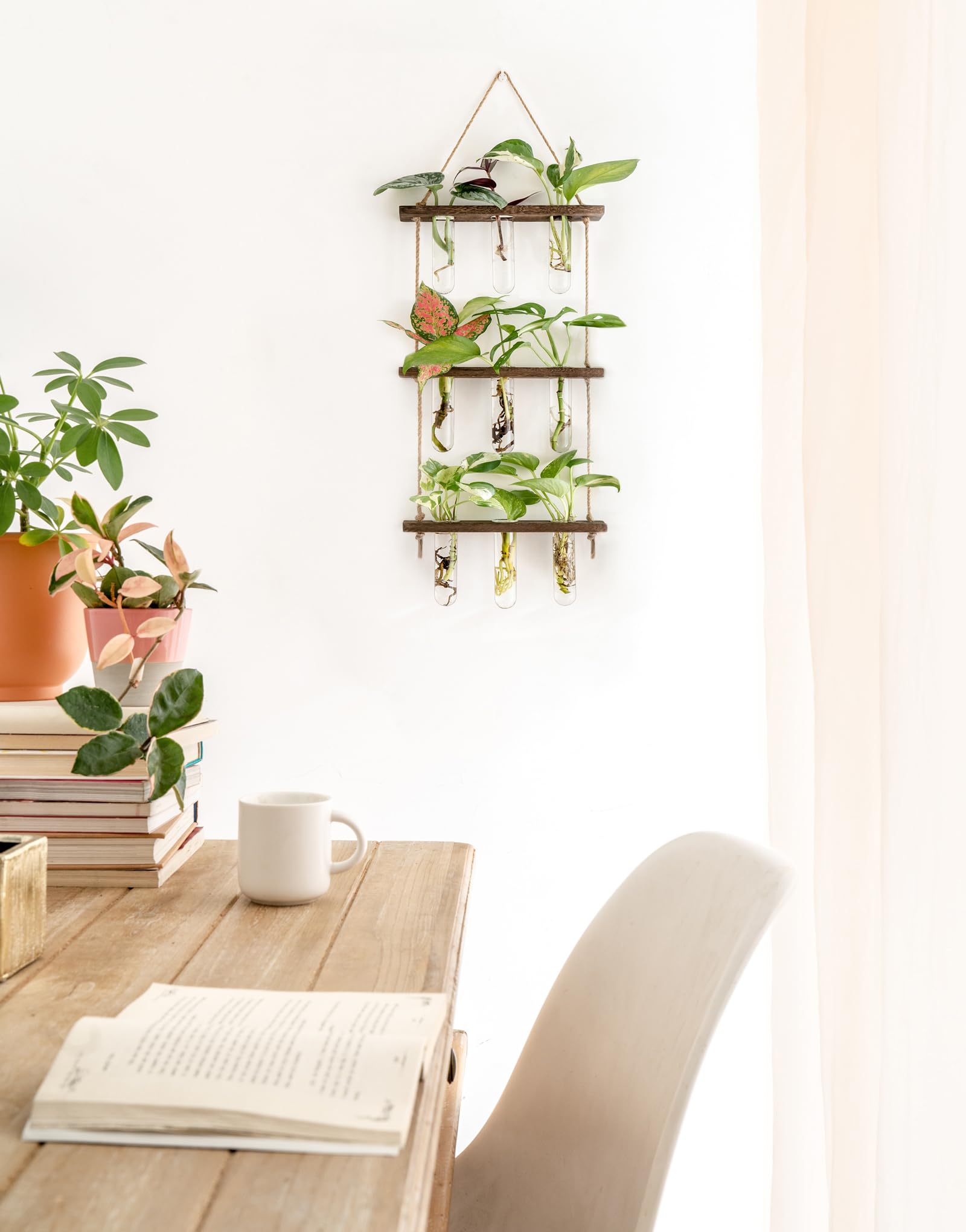 Mkono test tubes glass planters highlight clear view of cuttings