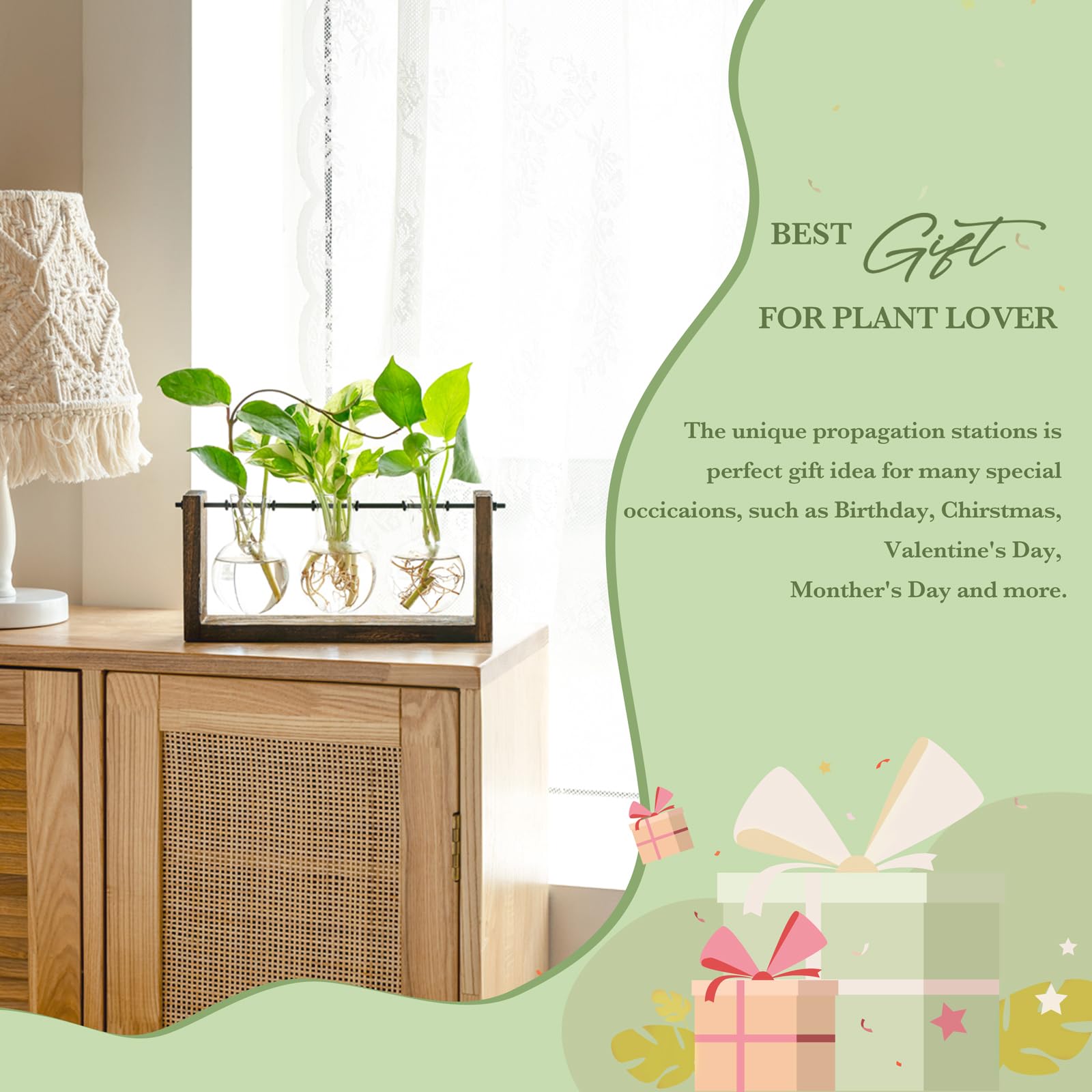 Mkono wall-hanging glass planter showcasing three bulb vases for compact wall display