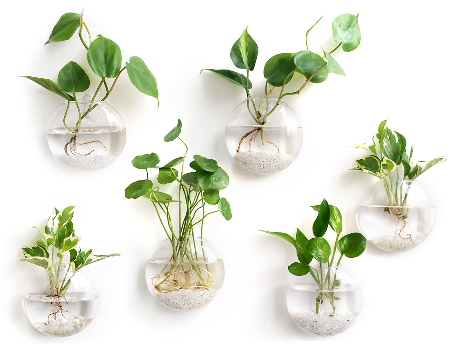 Mkono wall-hanging glass terrarium oblate flower vase on stylish wall display.