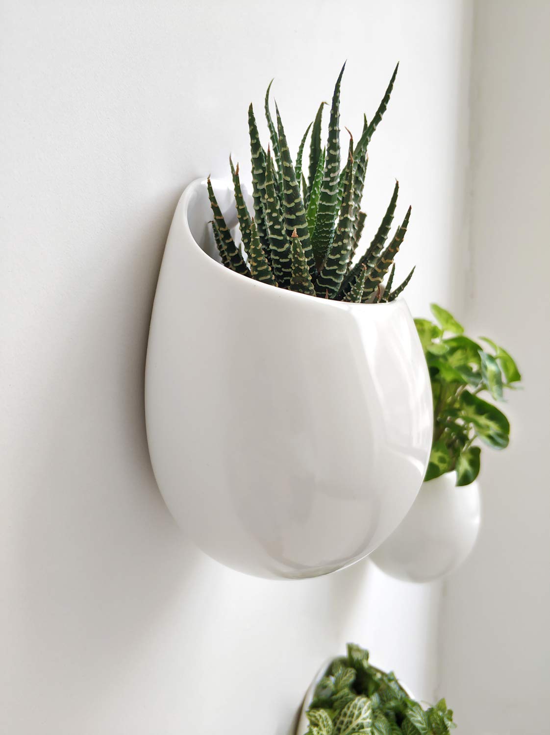 Mkono wall-hanging plant display showing back hole for easy mounting