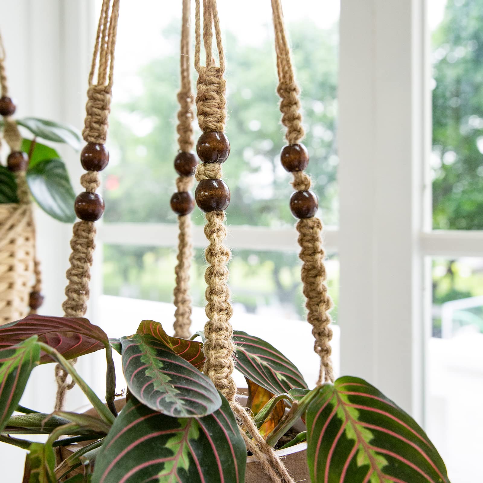 Mkono wall hanging plant display elevates any room with natural texture.