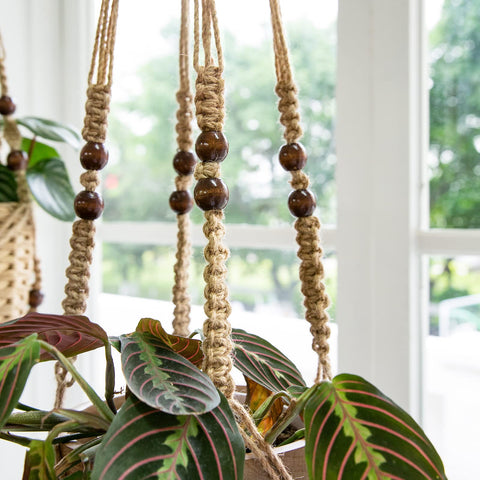 Mkono wall hanging plant display elevates any room with natural texture.