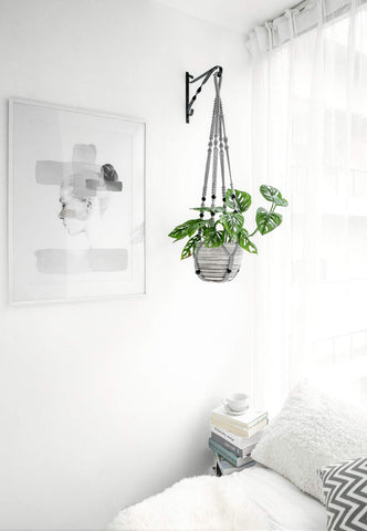 Mkono grey wall-hanging plant holder showcases greenery indoors