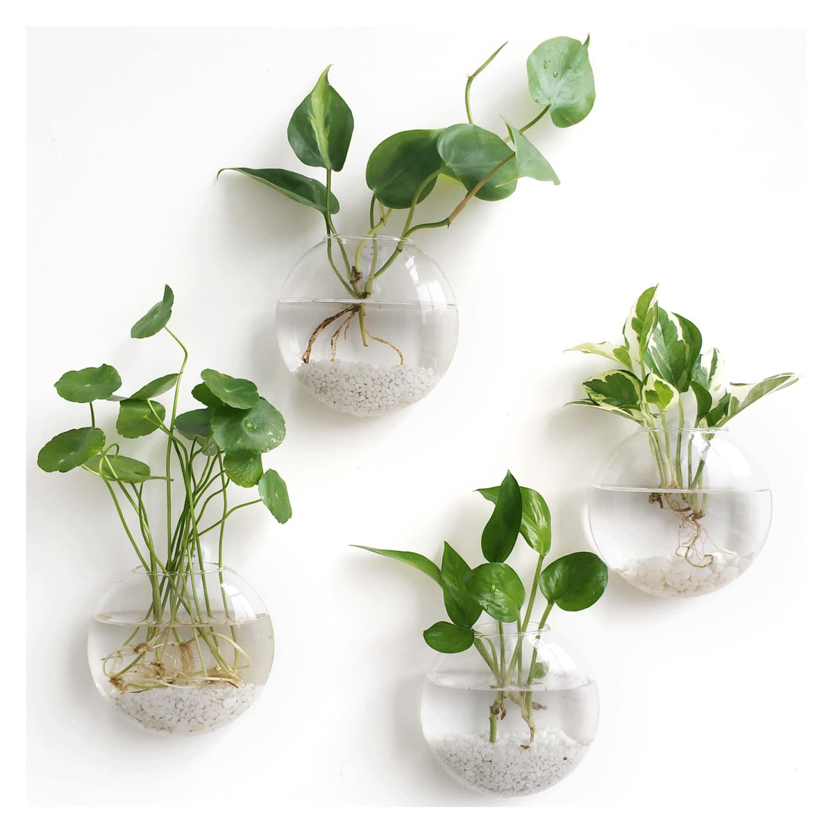 Mkono wall hanging oblate planter set 1 for hydroponics and decorative display