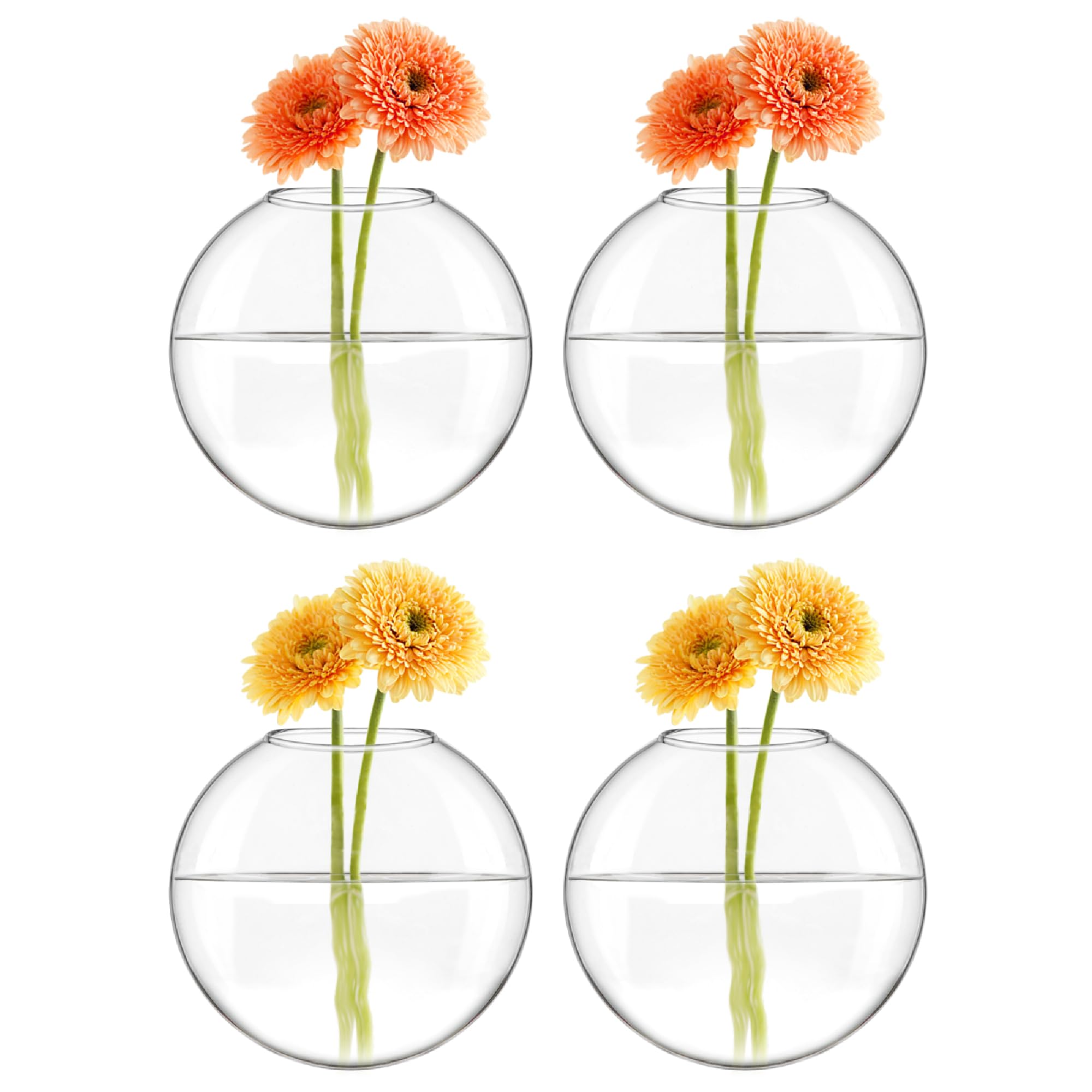 Mkono wall hanging oblate glass planters on wall for flowers