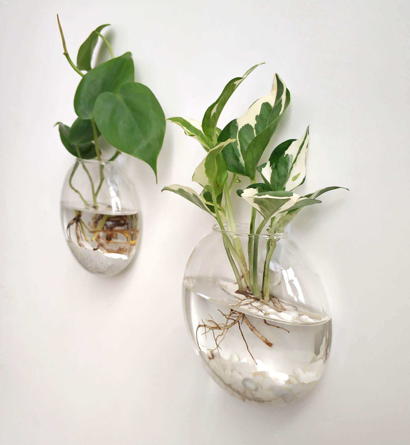 Mkono trio of glass planters suits bathrooms and living rooms for stylish displays.