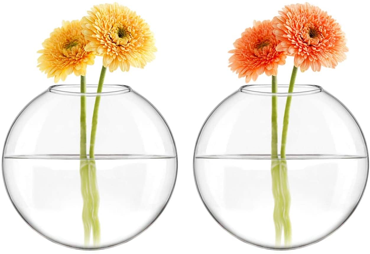 Mkono three-piece set includes glass plant containers and nail hooks.