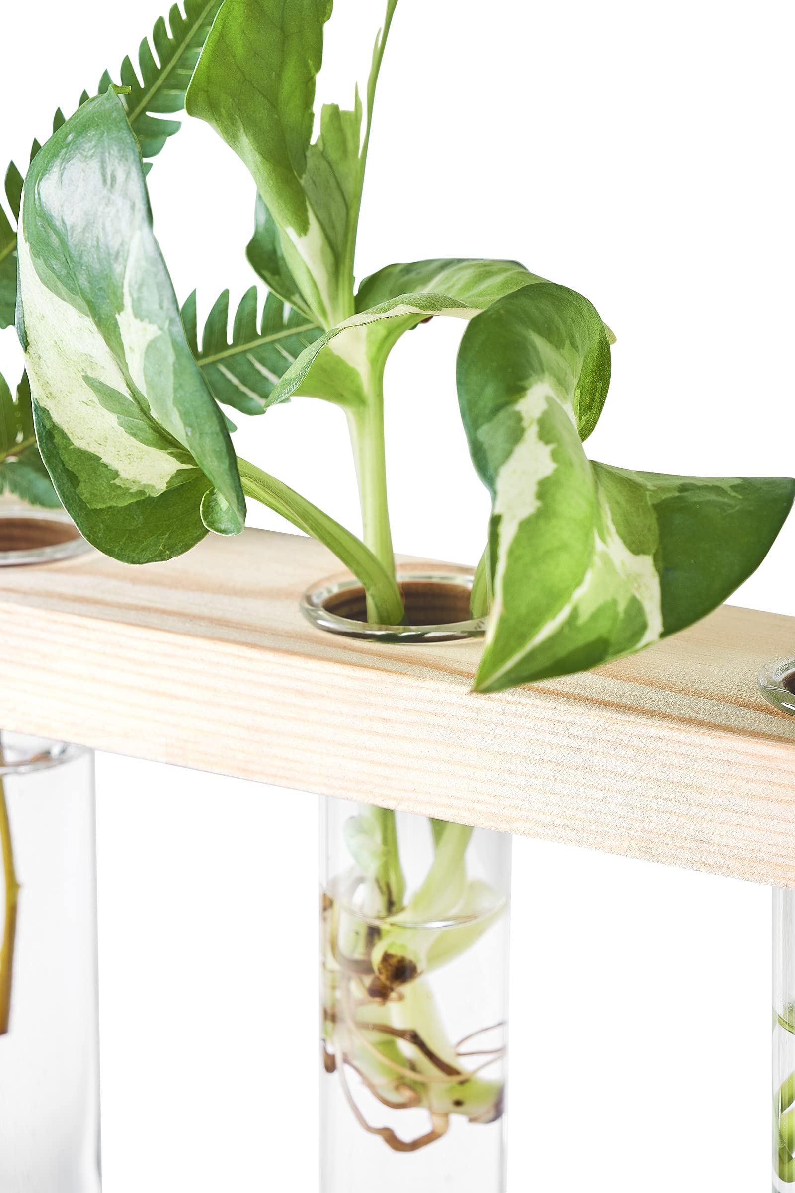 Mkono wall-hanging setup perfect for window sills and walls.