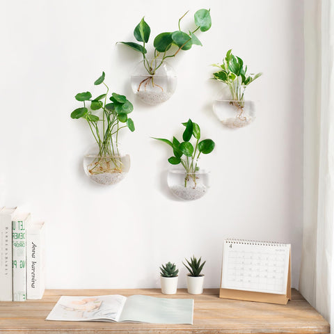 Mkono oblate terrarium pair—bathroom decor with clear glass and sleek lines.