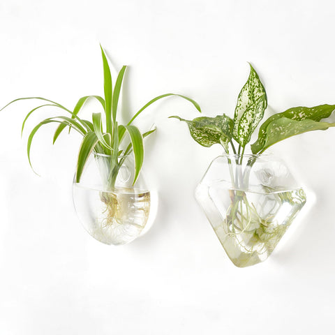 Mkono propagation station decor ideal for home office or bathroom