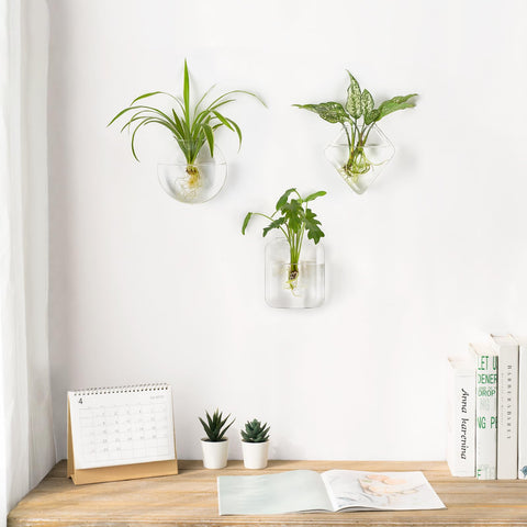 Mkono hexagon terrarium wall planter enhances indoor decor