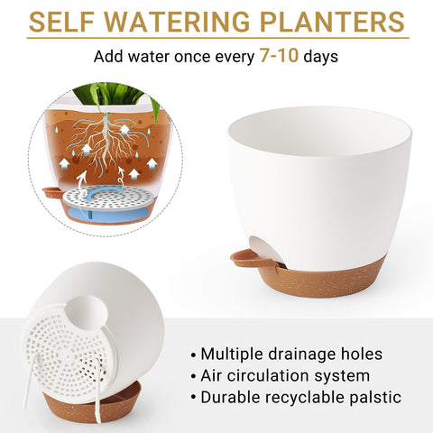 Mkono transparent water-reservoir tray demonstrating drainage and root breathability.