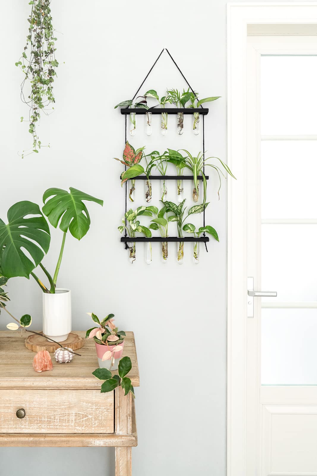 Mkono wooden stand terrarium frame elevates plants as stylish decor.