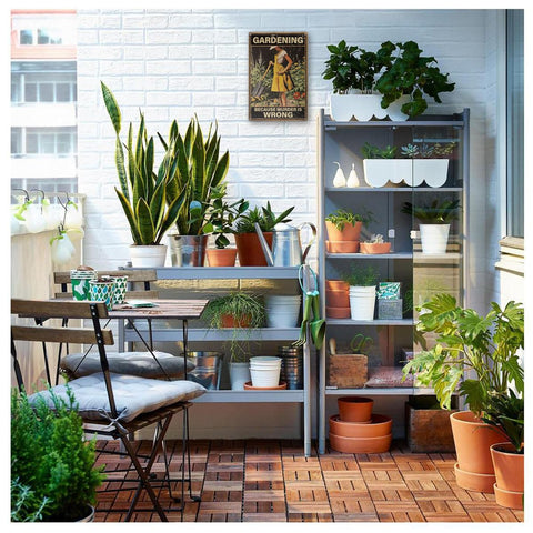 MOLESS gift for plant lovers sign brightens any gardener space