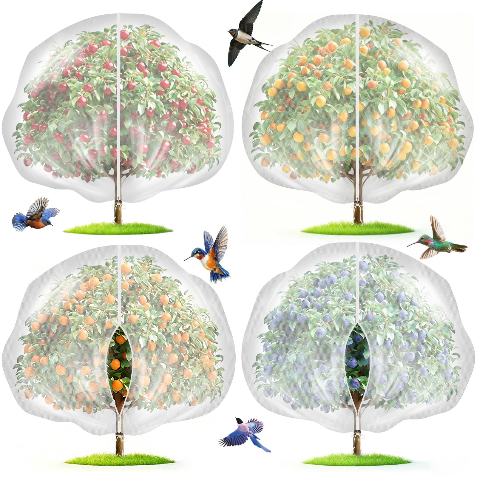 Mlhezy four-pack 12x10 ft fruit tree netting overview protects crops from birds