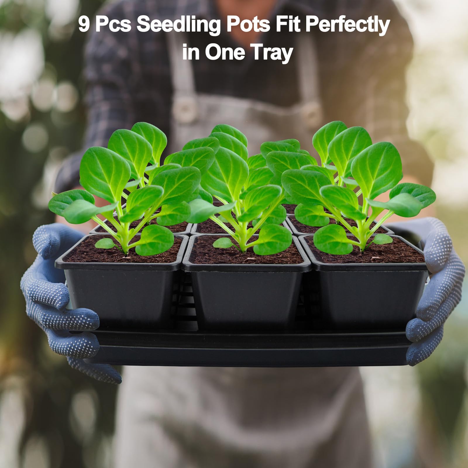 Mlhezy BPA-free seedling cups ensure safe handling and plant compatibility