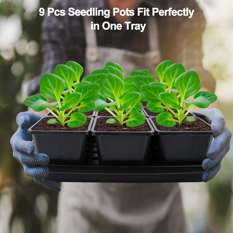 Mlhezy BPA-free seedling cups ensure safe handling and plant compatibility
