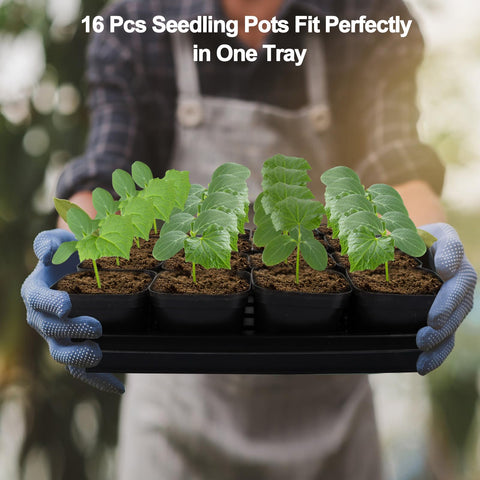 Mlhezy BPA-free plastic seedling kit keeps plants and hands safe for reuse.