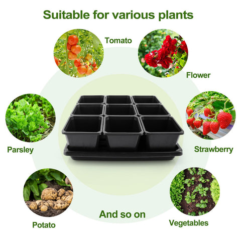 Mlhezy propagation kit combines cups and trays for beginner to expert use
