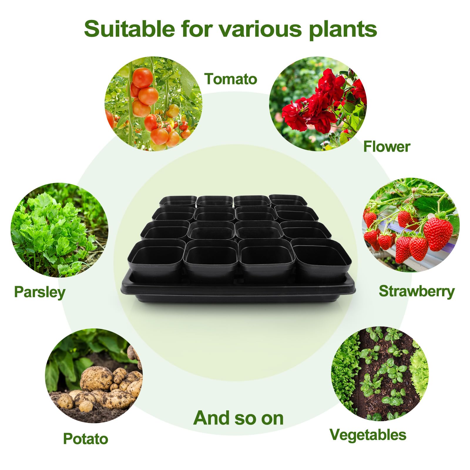 Mlhezy seed starting kit simplifies setup for beginners and seasoned gardeners.