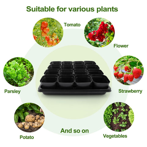 Mlhezy seed starting kit simplifies setup for beginners and seasoned gardeners.