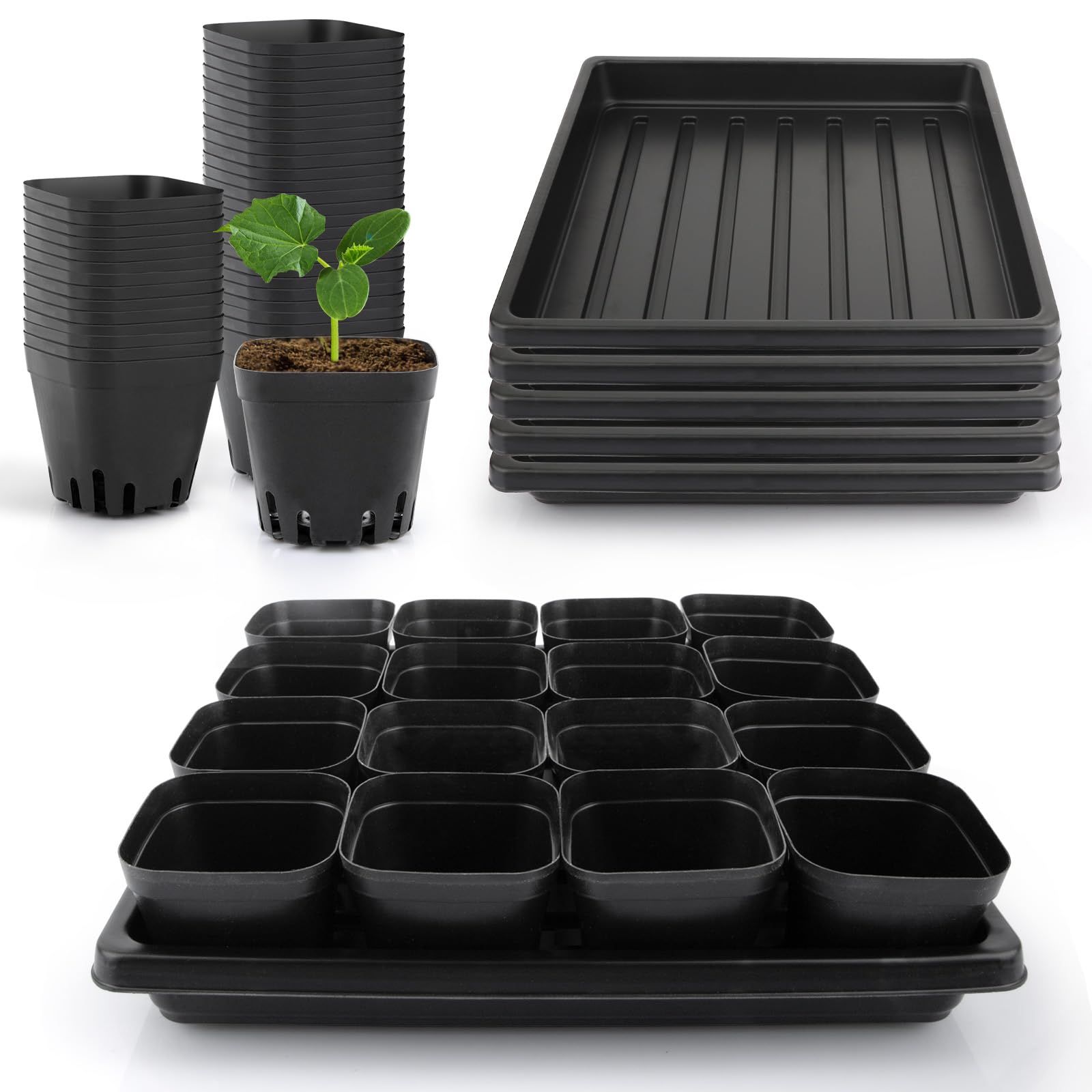 Mlhezy seedling cups 80pcs with drainage holes support healthy germination.