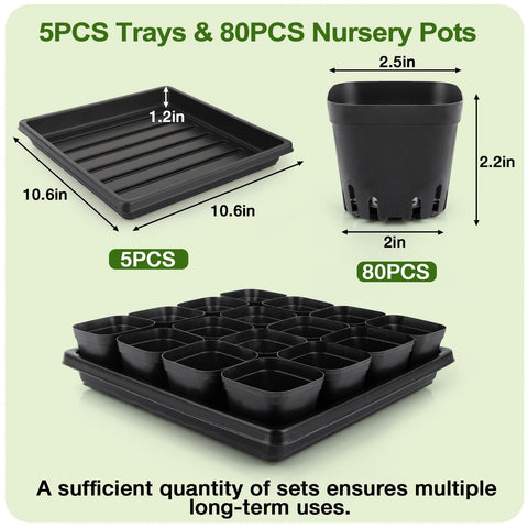 Mlhezy seedling trays 5pcs provide a stable base for the cup system.