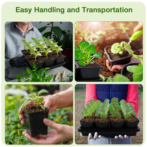 Mlhezy seedling trays without drainage holes collect excess water neatly
