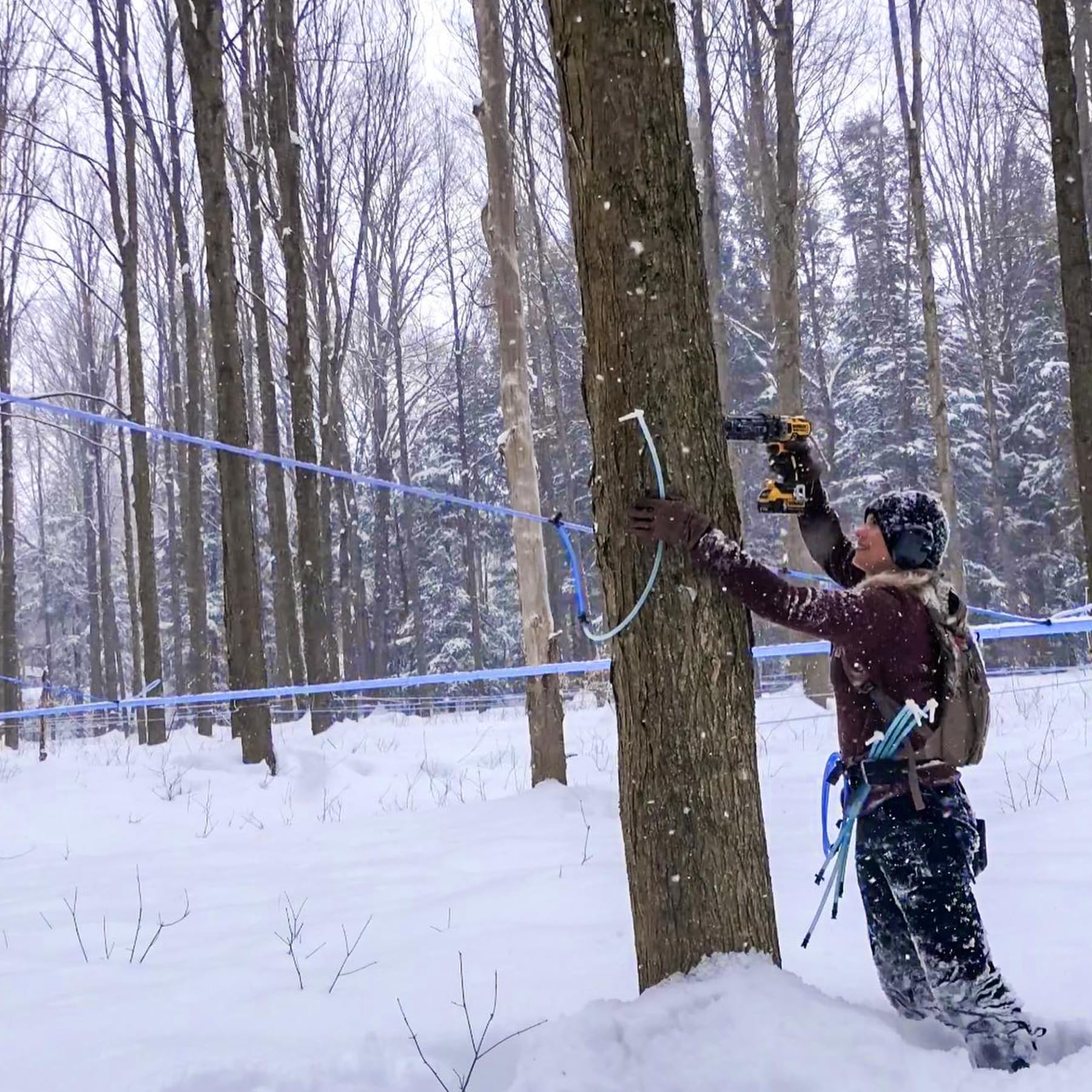 MLOLM flexible maple tubing on a long roll for versatile tubing layouts.