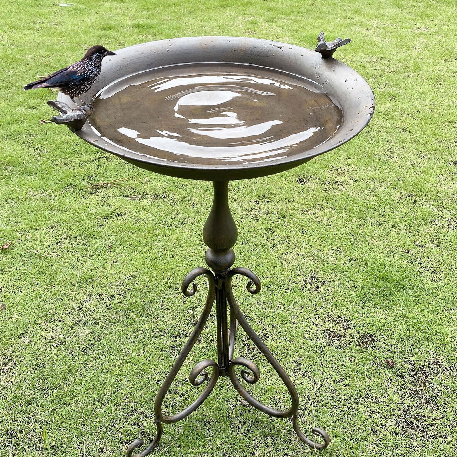 MNRYLKB birdbath-bird-attracting-scene showcases natural appeal for outdoor spaces