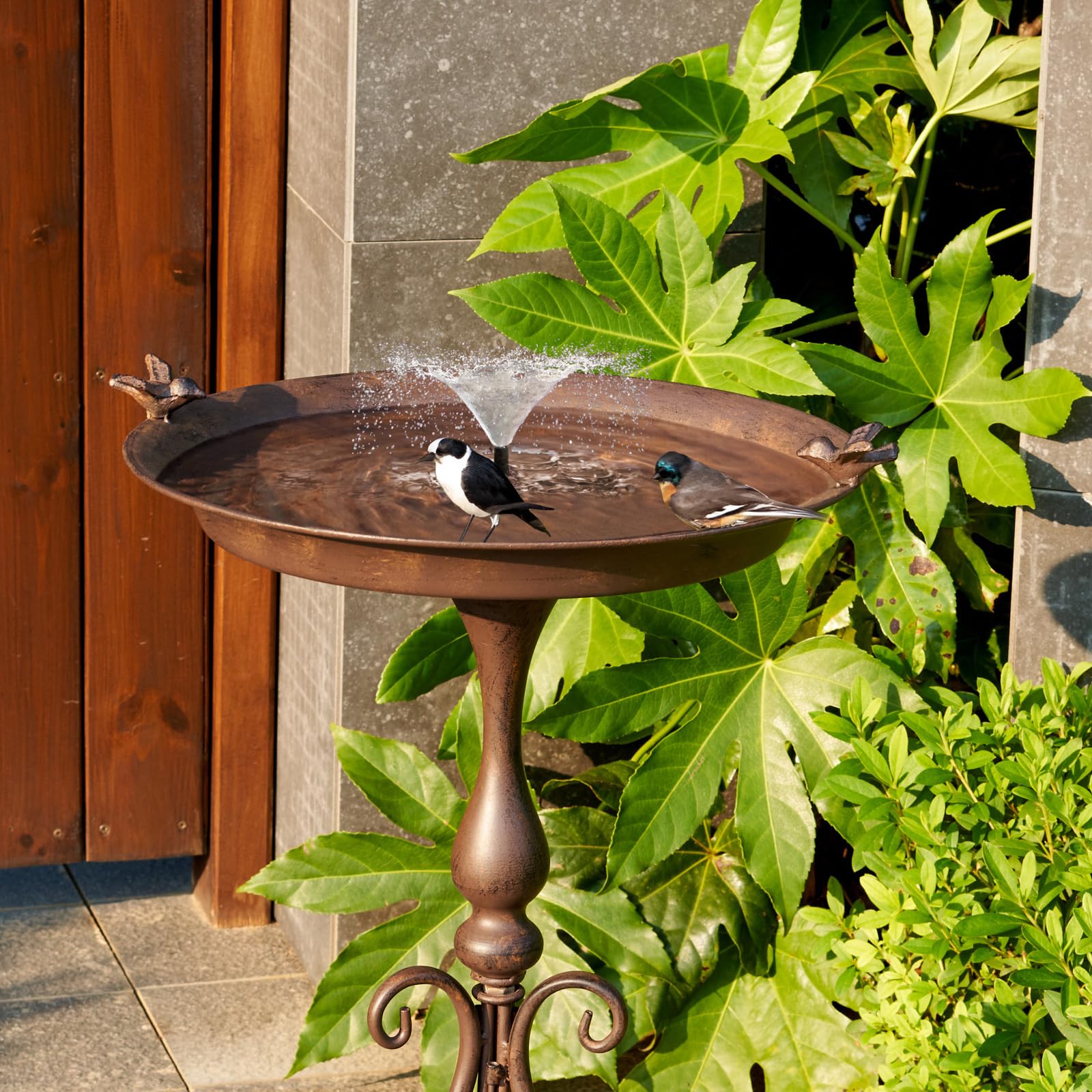 MNRYLKB birdbath-plate-inside-view reveals ample water space for visiting birds