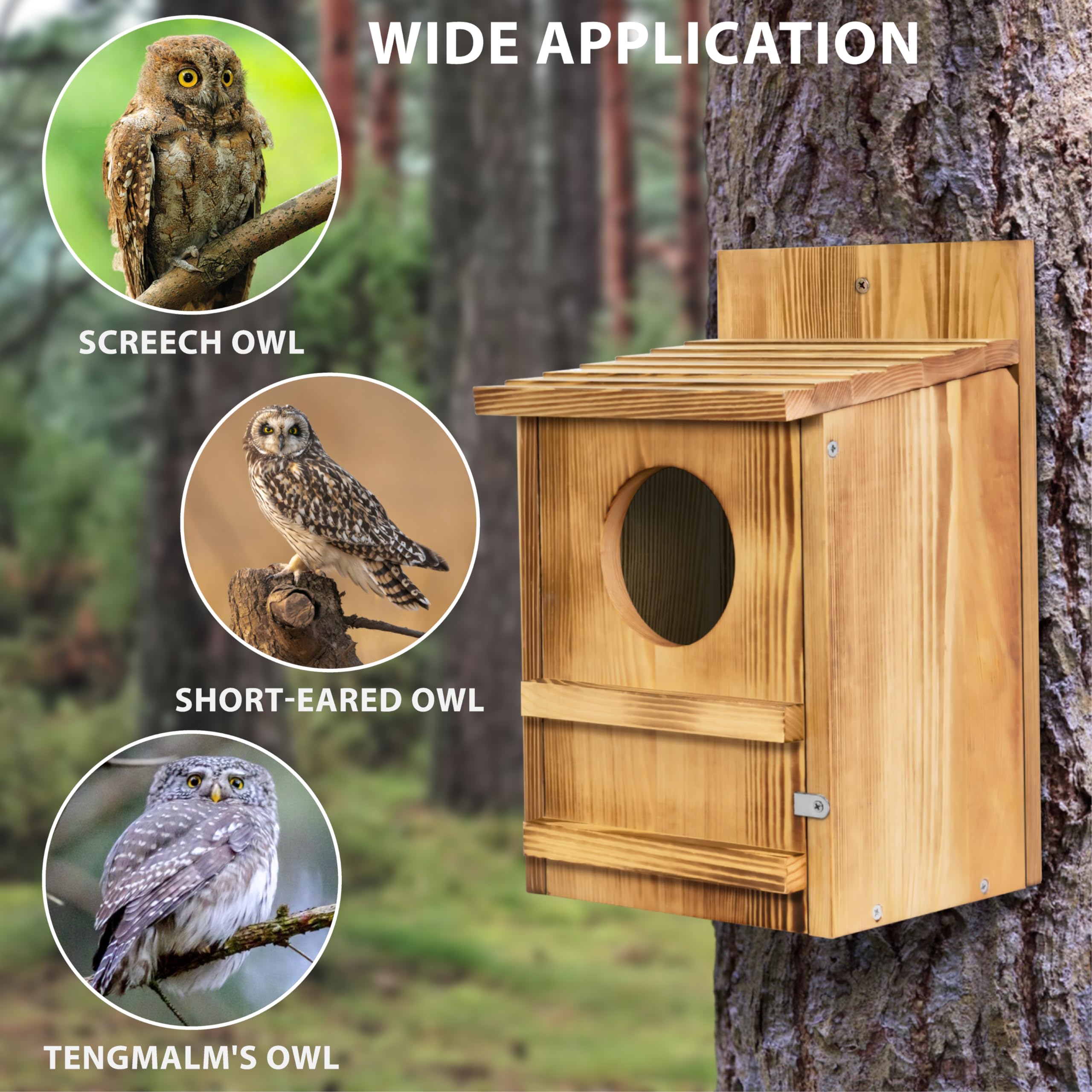 MOBYKE Screech Owl House ventilated bottom promotes airflow and moisture control