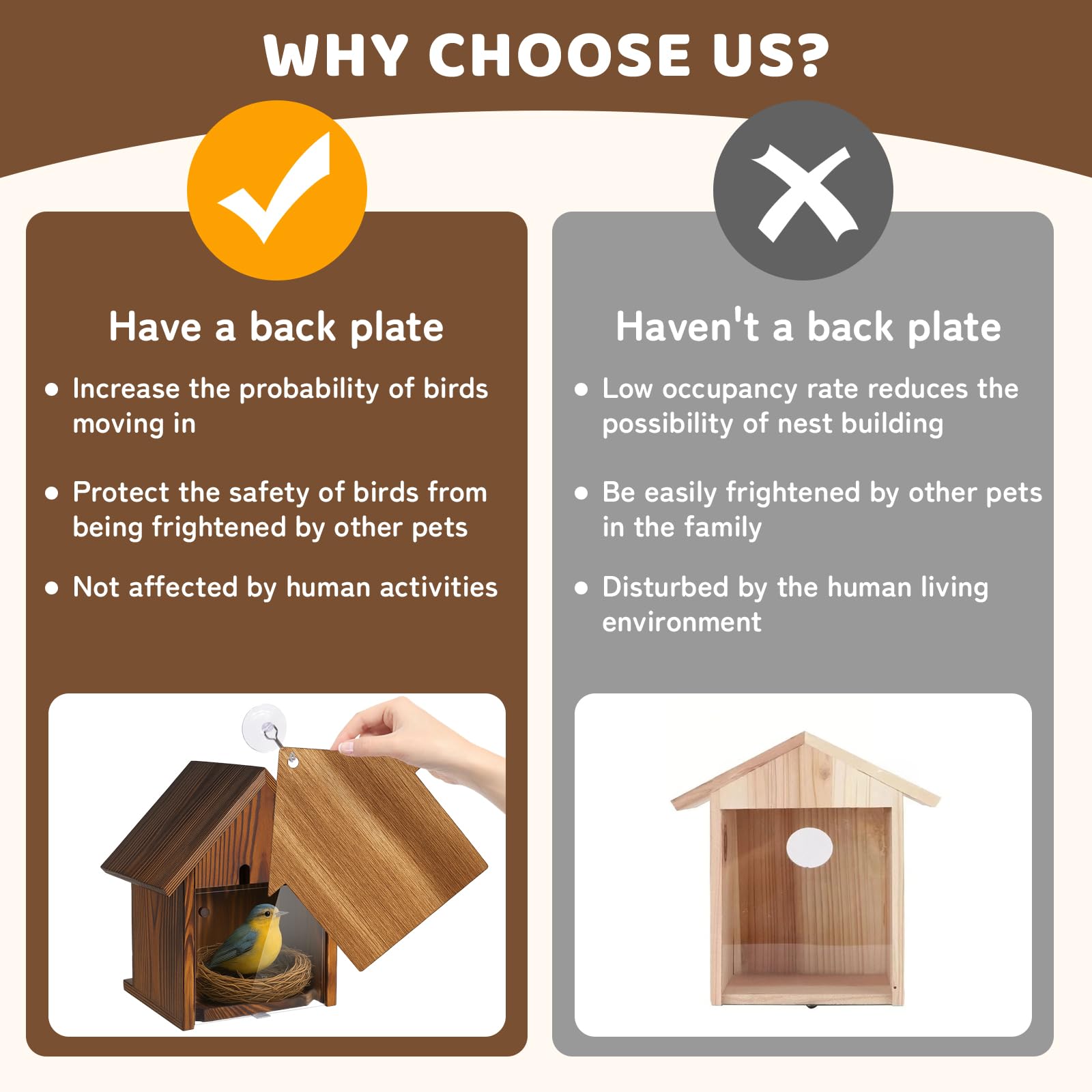 MOBYKE window bird house cover panel enabling close, noninvasive nesting observation.
