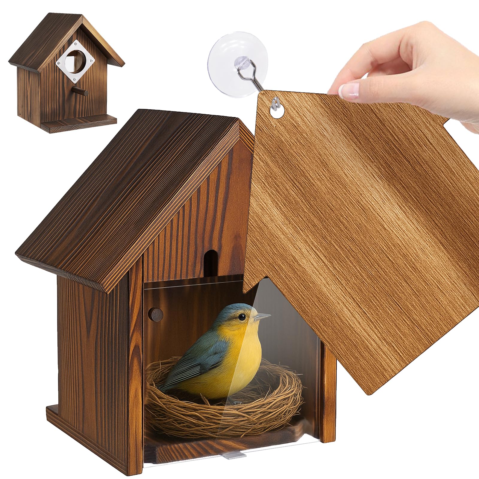 MOBYKE window bird house with stainless guard for predator protection and crystal-clear viewing.