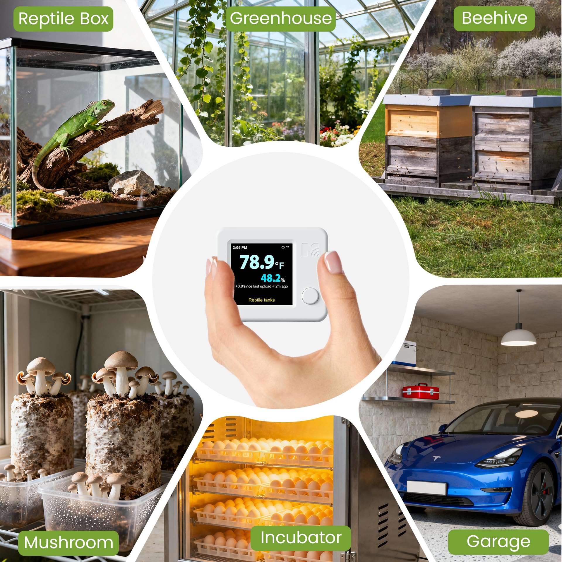 MOCREO as a versatile tool for greenhouse and reptile enclosures